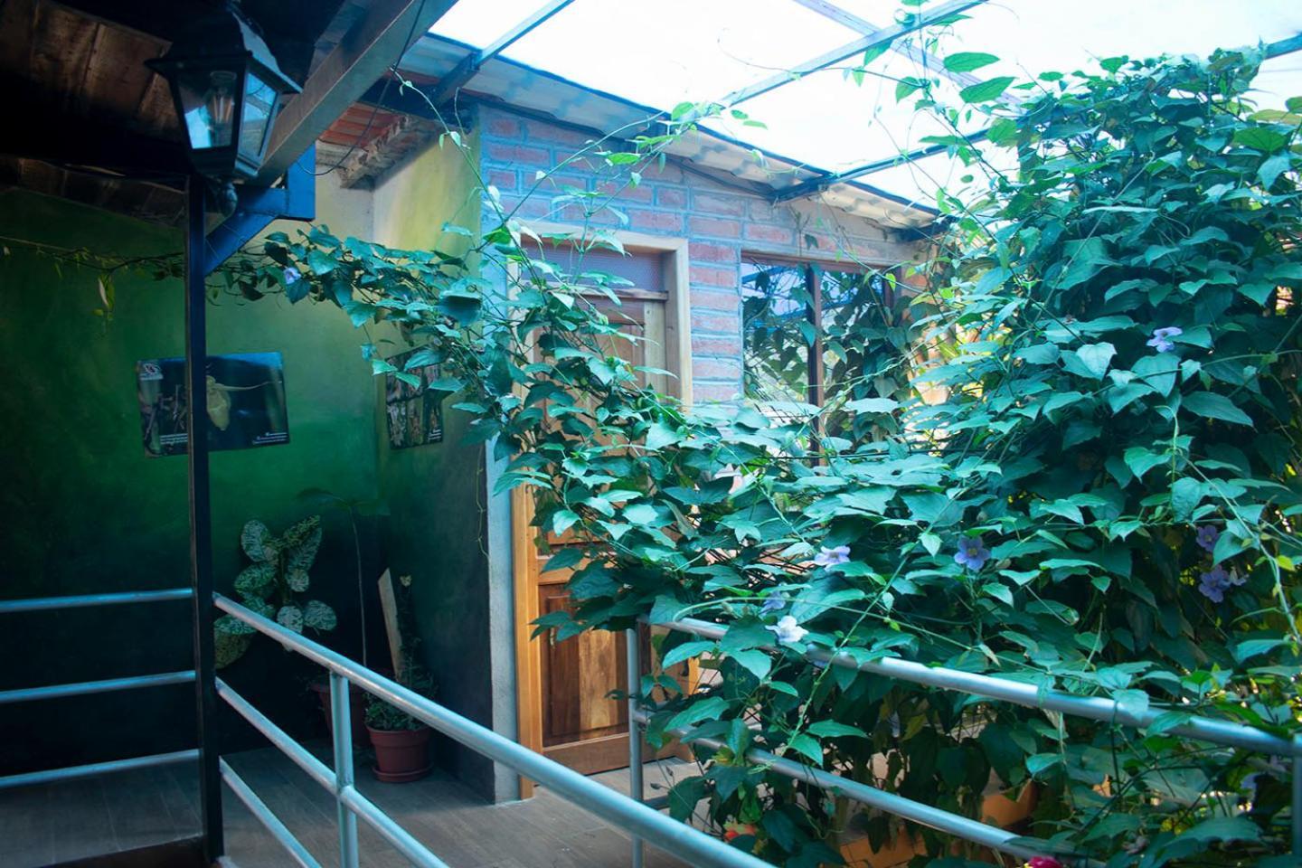 Hostal Los Farolitos Mindo Zewnętrze zdjęcie